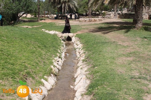 3emwas 0319 (43).JPG